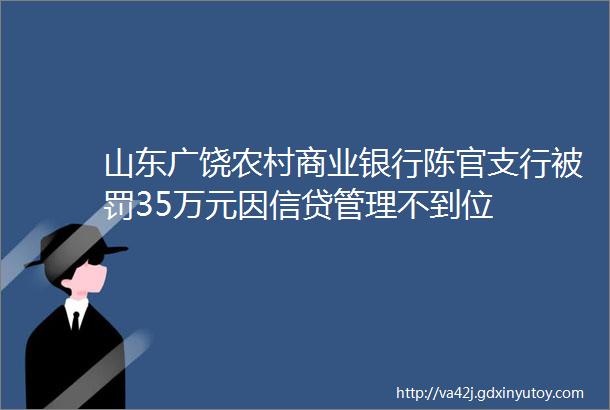 山东广饶农村商业银行陈官支行被罚35万元因信贷管理不到位